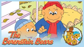 Berenstain Bears Bears For All Seasons Grow It  Ep39 [upl. by Eran]