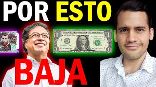 💲¿Por qué BAJÓ el DÓLAR en Colombia 💲5000  Profe Andrés  Gustavo Petro  ¿Factores Internos⭕ [upl. by Slaohcin]