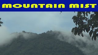 MOUNTAIN MIST [upl. by Tana]