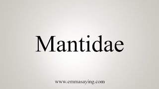 How To Say Mantidae [upl. by Miko]