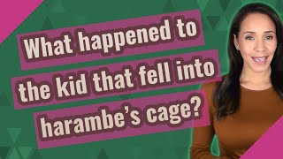 What happened to the kid that fell into harambes cage [upl. by Nnylarac]