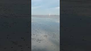 Watt an der Kugelbake 360° Urlaub in Cuxhaven Webcam libe [upl. by Koal]