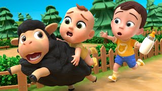 Baa Baa Black Sheep Song  MORE Baby Animals Nursery Rhymes amp Kids Songs [upl. by Nolyd]