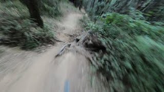 Secret enduro track California Bay Area MTB  specialized status 160 [upl. by Bortman]