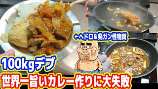 【独身100kgデブ】世界一旨いカレー作りに大失敗（ヘドロ）【CPUクーラー爆破原因を特定】 [upl. by Feinleib634]