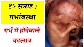 15 weeks of pregnancy and baby development in Hindi [upl. by Guttery]