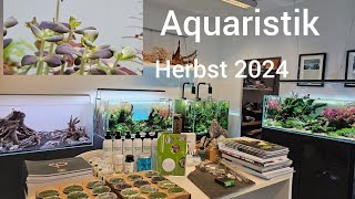 Aquaristik Neuheiten Herbst 2024 [upl. by Ailgna]