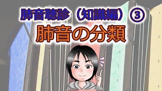 肺音聴診（知識編）③肺音の分類 [upl. by Karola]