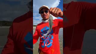 CATFISH are actually SUPER DANGEROUS 🫣 fishing mistakes part 6 fishing [upl. by Bernt754]