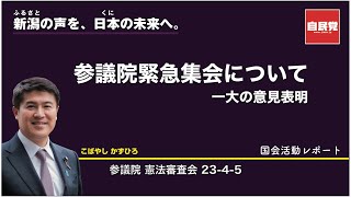 230405 参議院の緊急集会について…憲法審査会 [upl. by Darian984]