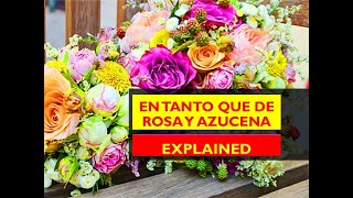 En tanto que de roza y azucena Explained [upl. by Nennerb]