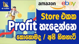 Amazon to eBay Dropshipping  How we think about profit  ලාභය ගැන හිතන විදිය  Pro කෙනෙක් වෙන හැටි [upl. by Narud58]