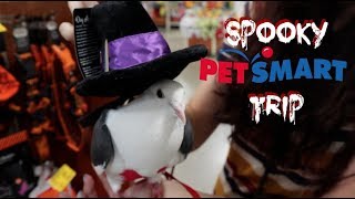 Taking My Pigeon to PetSmart  Cooper Goes to the Pet Store [upl. by Cathee860]