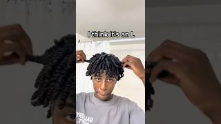 How To Do Two Strand Twists howtogrownaturalhair haircare howtostylenaturalhair shorts [upl. by Dnaltiak]