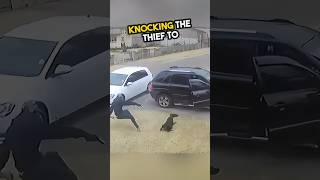 Two dogs save a grandpa from thieves ❤️ shorts [upl. by Kenny404]