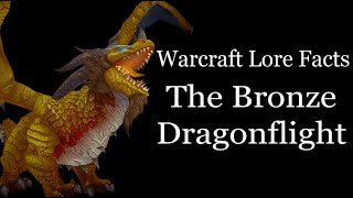 Warcraft Lore Facts  The Bronze Dragonflight [upl. by Abram]