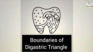 Anterior triangle of neck digastric part1 anatomy [upl. by Shandee]