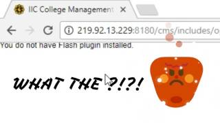 you do not have flash plugin installed fix chrome [upl. by Yllatan]