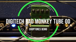 Digitech Bad Monkey  Playthrough Demo [upl. by Nitsud]