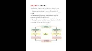 Homeostasis 📝 trending mbbslife physiology shorts medicalconcepts28 [upl. by Ahsilaf572]