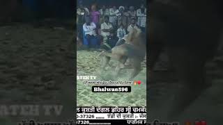 jassapatti kustian dangal bhalwan youtubeshorts kustidangal trendingshorts [upl. by Finbar]