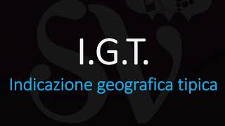 What is an IGT Wine In Italy  How to Pronounce Indicazione Geografica Tipica [upl. by Levon]