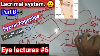 Eye lectures 6 nasolacrimal duct regurgitation test nasolacrimal blockage of nasolacrimal duct [upl. by Novyert]