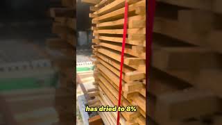 Tips About Kiln Drying  White Oak [upl. by Rosemare621]