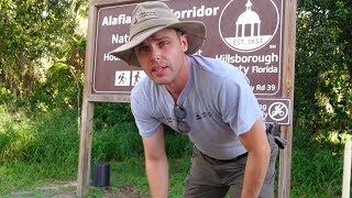 Park Ranger gives tour of Alafia River Nature Preserve Hillsborough County Florida [upl. by Ahsenot]