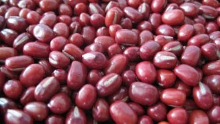 Boiled Adzuki Beans  Nutritional Information [upl. by Pilar]