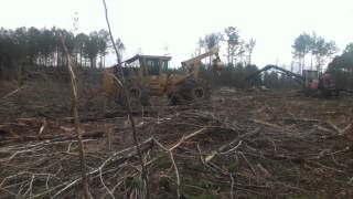 Tigercat 620D Grapple Skidder [upl. by Asiuqram]