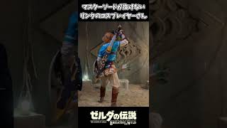 マスターソードが抜けないリンクのコスプレイヤーさんｗｗ【ゼルダの伝説 ブレス オブ ザ ワイルド】 [upl. by Annawit446]