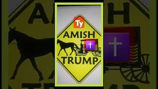 Ty to the Amish for standing up for Trump amish amishfortrump trumpshorts maga csr2guy45 [upl. by Denman]