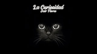 LA CURIOSIDAD 🔎 Jair Flores  Visualizer🦝 [upl. by Nylasej]