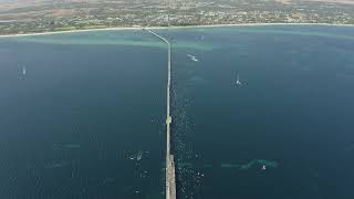 Busselton Jetty Open Water Swim [upl. by Child]