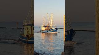 NOR 202  Norddeich 🌊👍😍 kutter fishing ships ship schiffe schiff nordsee northsea [upl. by Kirad]