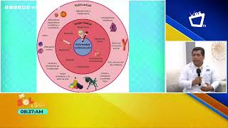 Complicaciones crónicas en diabetes prevení su aparición y progresión [upl. by Ursas187]