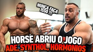 SYNTHOL E ANABOLICOS MARCELLO HORSE [upl. by Stegman358]