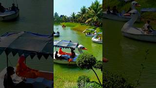 pedal boat  Green Valley park  Lalpur Natore shorts pedalboat viral trending [upl. by Eloc865]