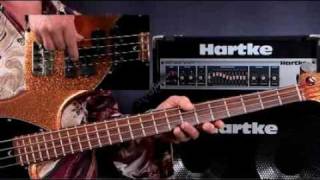 How To Play Bass Guitar  Lessons for Beginners  Open Strings [upl. by Matti387]