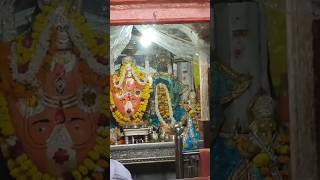 Part17Ranthanbore Fortganeshmandir ranthambore ranthamborenationalpark yputubeshorts [upl. by Farro]