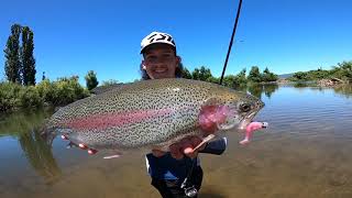 66 Trout in ONE session on the Goulburn River [upl. by Ellienad]