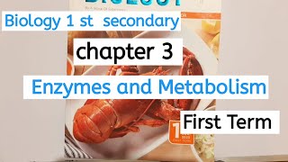 2023 احياء لغات اولى ثانوي درس Enzymes and metabolism biology 1 st secondary chapter 3 [upl. by Gilud]