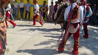 Los voladores de Cuetzalan Puebla [upl. by Anomahs599]