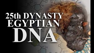 NEW Ancient Egypt 25th Dynasty DNA [upl. by Nemlaz]