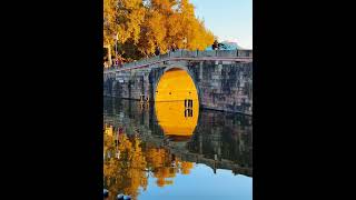 Autumn in Hangzhou Discover China’s Golden Season 🍂🌅 AutumnInHangzhou ChinaTravel NatureBeauty [upl. by Aleusnoc]