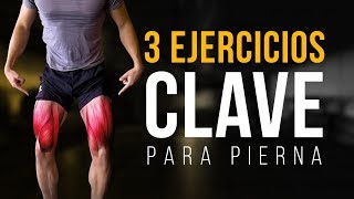 ¡LOS 3 MEJORES EJERCICIOS PARA PIERNA [upl. by Herv]