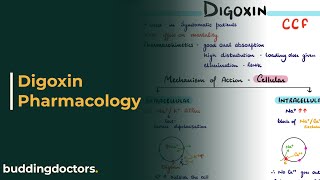 Digoxin  Digoxin mechanism of action  Digoxin toxicity [upl. by Noicpesnoc]