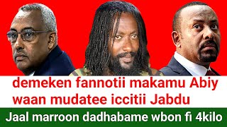 ODUU Ammee Jaal marroo demeke mekonnen Abiy Ahmed wbo fannoo  Moha Oromo [upl. by Hubbard]