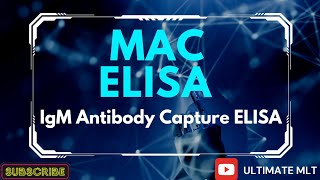 ELISA PART 5  MAC ELISA  IgM Antibody Capture ELISA ultimatemlt bmltlecture labtechnician [upl. by Ayhtin]